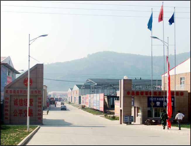 �Ӱ��SȪ���ļҾ����l(f��)�Ј�(ch��ng)